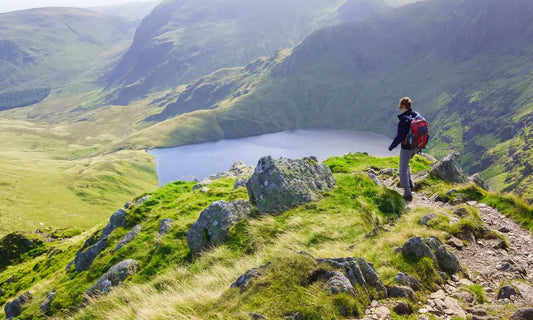 15 Best Forest Walks in the UK for 2024